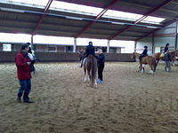 27012008032.jpg