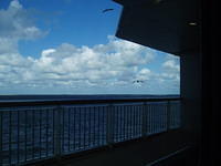 P8290004x.jpg