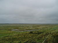 P8310016x.jpg