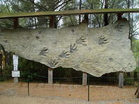 P8040020.JPG