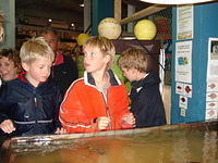 Jesper2008 012