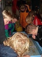 Jesper2008 013