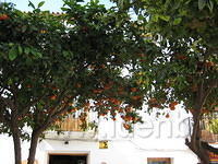 2008SpanjeSelma1_130